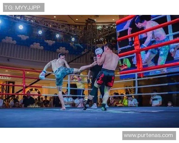 足球明星观看拳击精彩瞬间分享运动激情与热血对决的魅力